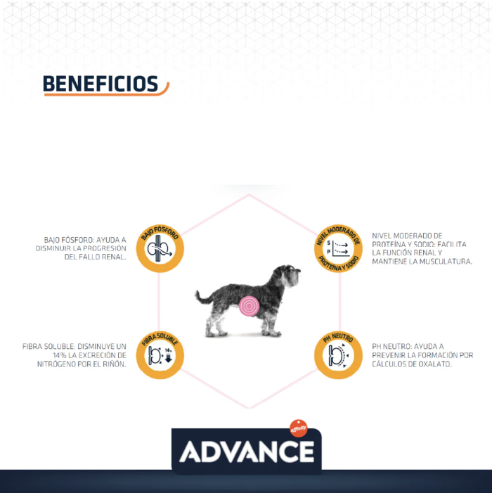 R2 Advance Renal para Perro 3kg