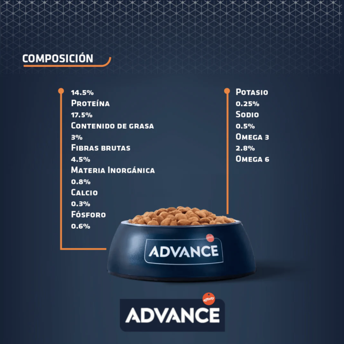 R4 Advance Renal para Perro 3kg