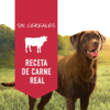 Lata Instinct Res - Para Perros 374 Gr