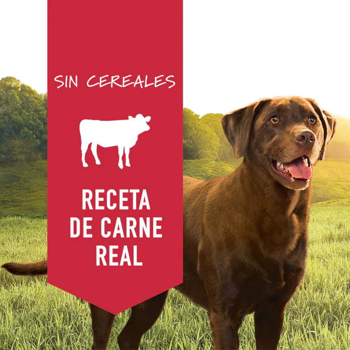 lpr2 Lata Instinct Res - Para Perros 374 Gr