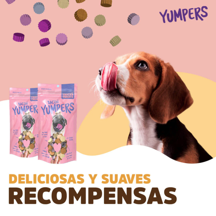py3 Yumpers de Trick & Treats: Tocino