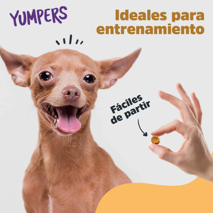 py4 Yumpers de Trick & Treats: Tocino