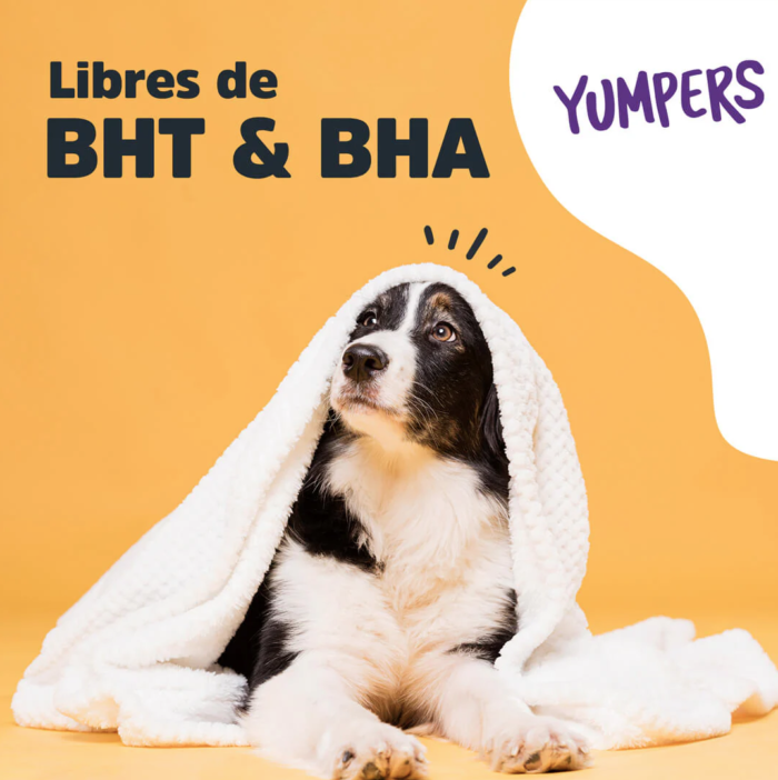 py5 Yumpers de Trick & Treats: Tocino