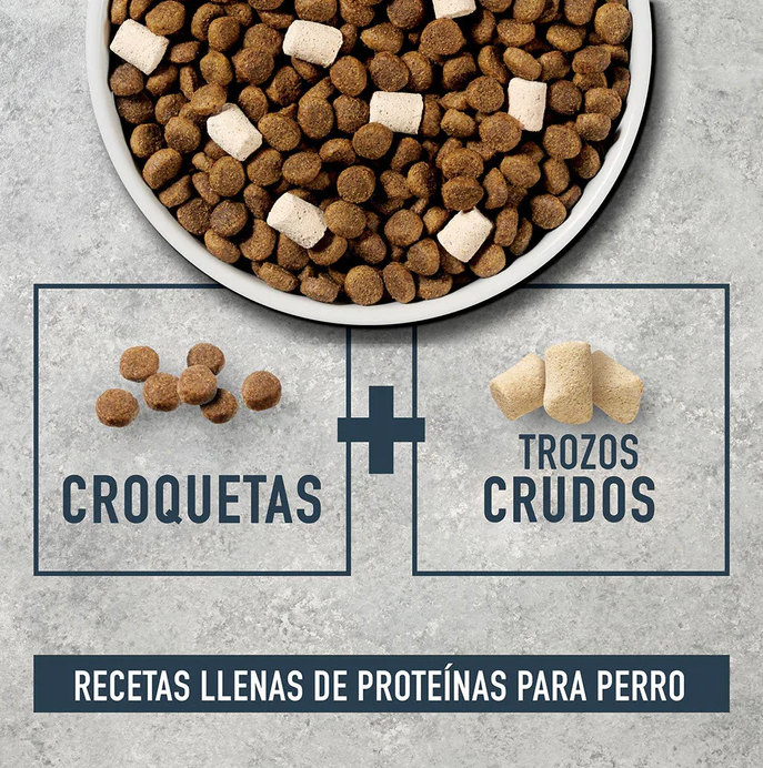 rsa3 Instinct Raw Boost de Salmón con Granos y Arroz Integral para Perros (Presentación: 2.04 kg, 9.07 Kg)