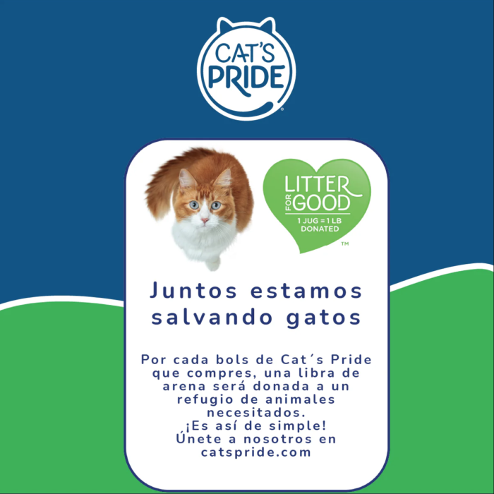 are6 Cat's Pride Scented Baking Soda Arena para gatos Aglutinante con bicarbonato de sodio Perfumada, Frescura duradera 10 lb