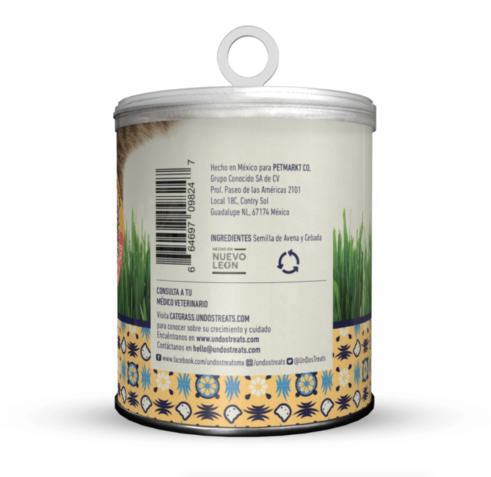 cs2 Catgrass seeds semillas de avena y cebada para gatos
