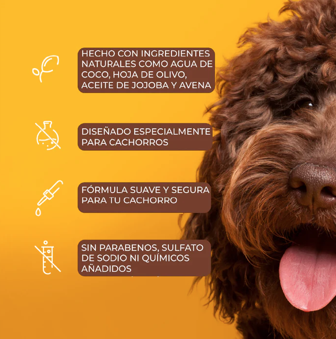 k4 Arm & Hammer Shampoo para Perro Control Caída de Pelo, aroma Guayaba.