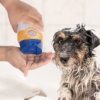 Arm & Hammer Shampoo para Perro Control Caída de Pelo, aroma Guayaba.