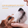 Arm & Hammer Shampoo para Perro Control Caída de Pelo, aroma Guayaba.