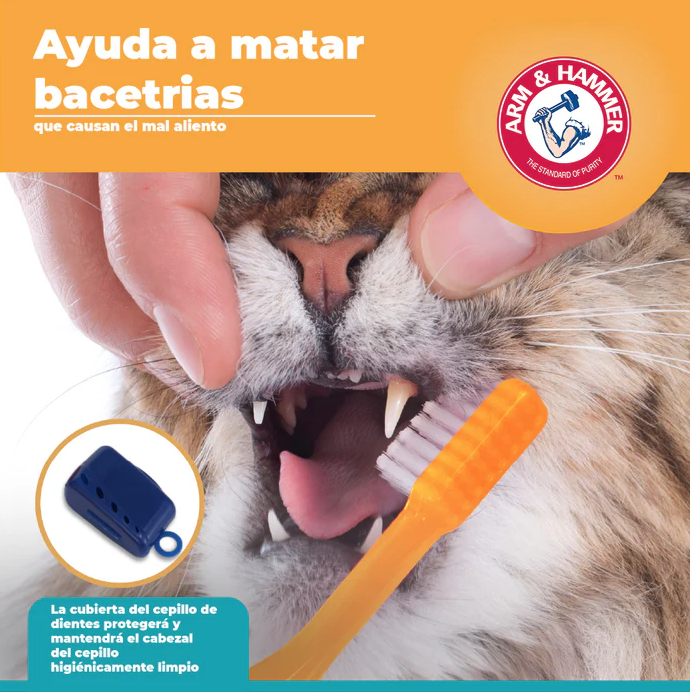 pdg4 Arm & Hammer Kit Pasta Dental con Cepillo para Gato, Elimina Sarro y Mal Aliento, Sabor Atún, 3pzas
