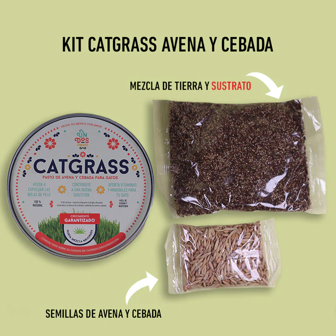 pgt4 Cat Grass Mix Avena y Cebada, Pasto para Gato