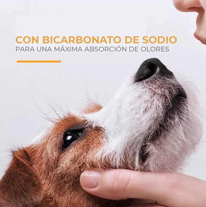 s4 Arm & Hammer Shampoo para Cachorros, menos lágrimas, aroma agua de coco.