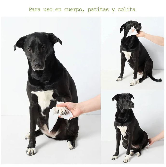 to5 Toallitas Húmedas para Perros, Hipoalergénicas y Libres de Parabenos, Aroma Lavanda con 100 pzs