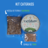Catgrass de Trigo, Pasto para Gato