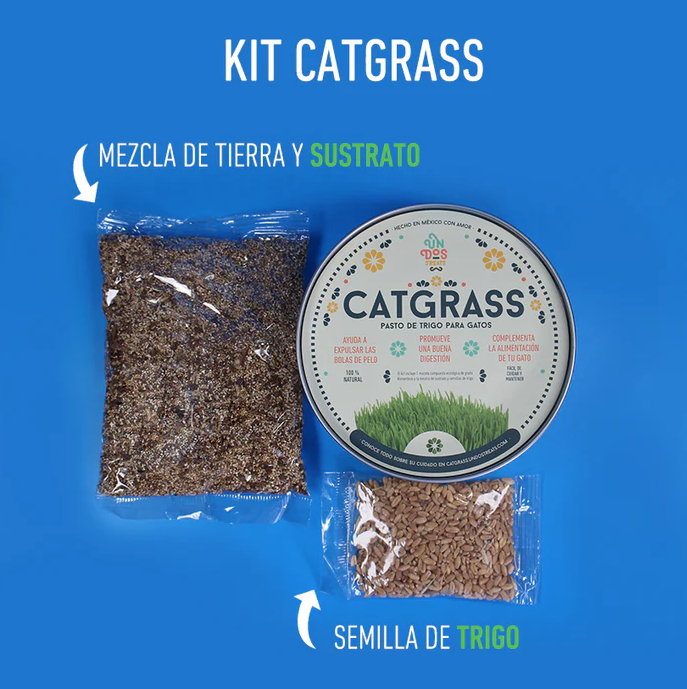 tr3 Catgrass de Trigo, Pasto para Gato