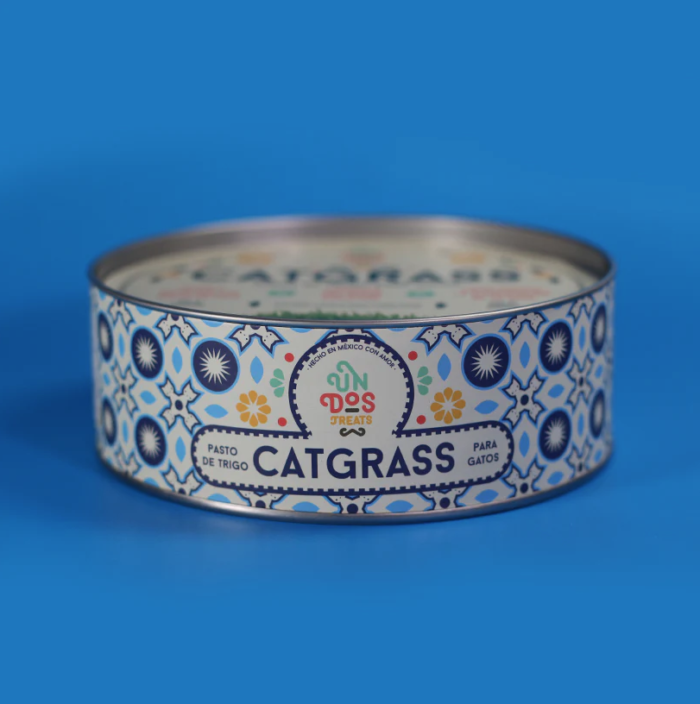 tr4 Catgrass de Trigo, Pasto para Gato